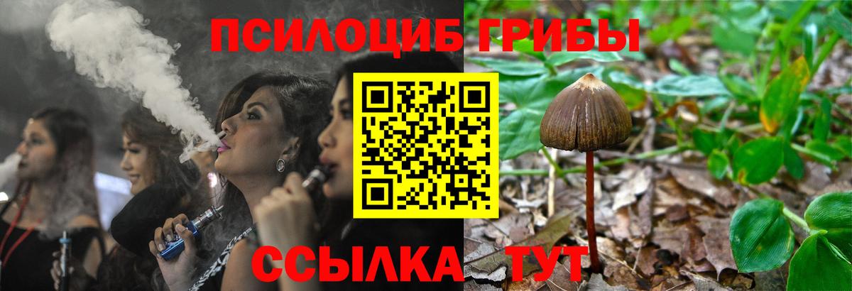 Псилоцибиновые грибы ЛСД  Вход с VPN  Десногорск 